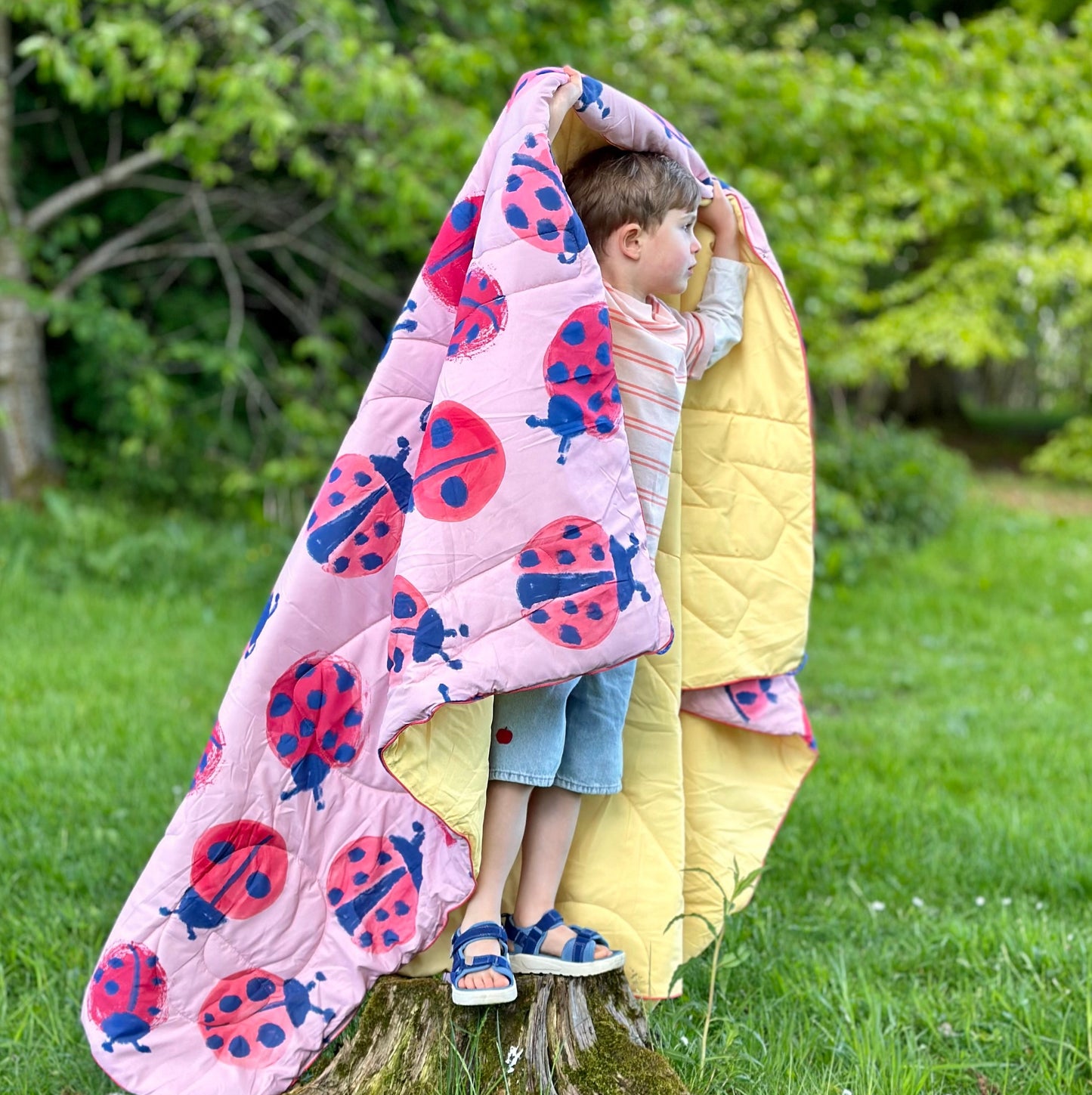 Family Outdoor Blanket - Ladybirds
