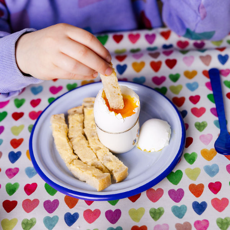 Enamel Snack Plate - Blueberry