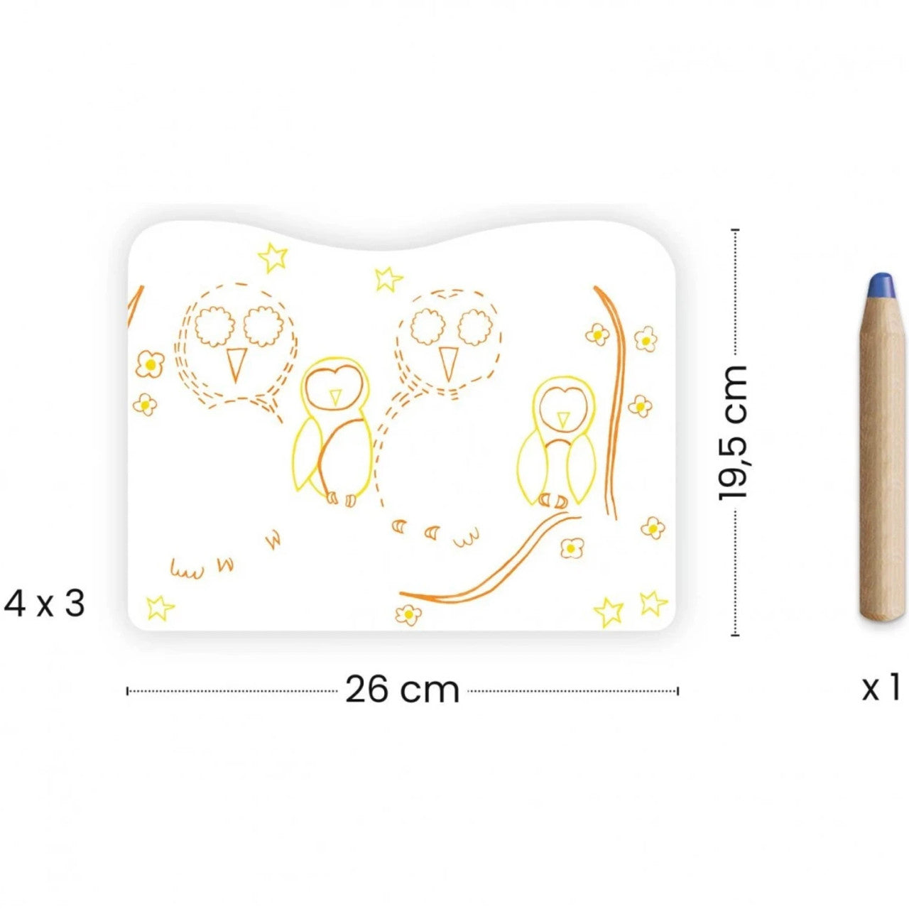 Djeco Colouring - Woodland Families